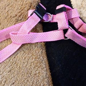 Girl dog Harness